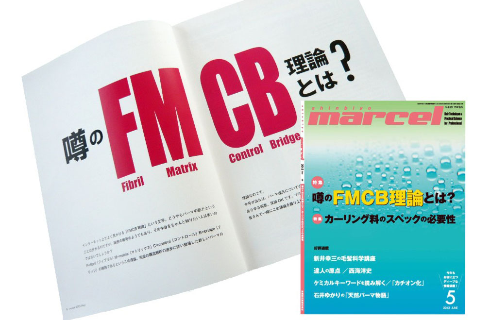 FMCB perm style