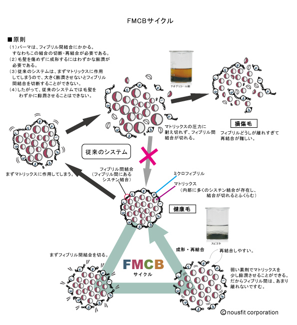 FMCBサイクル